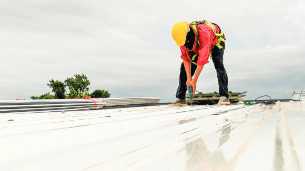 Best 4 Ply Roofing  in Falls City, NE